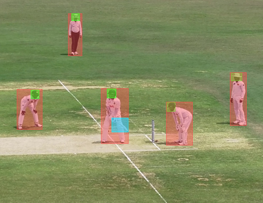 Cricket field players