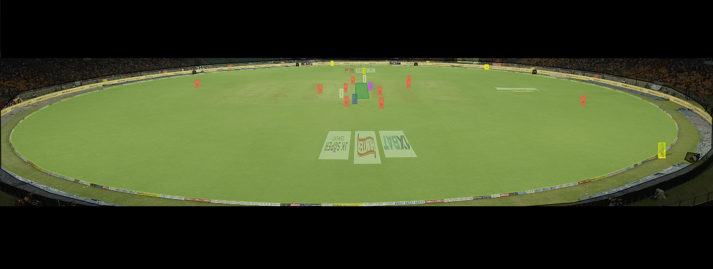 Cricket field overview