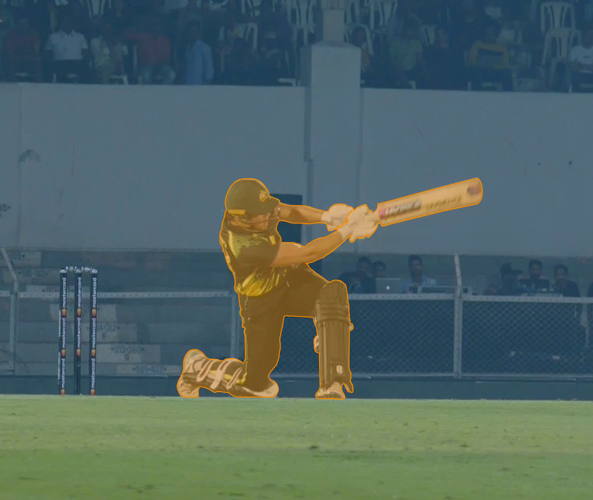 Cricket match scenario