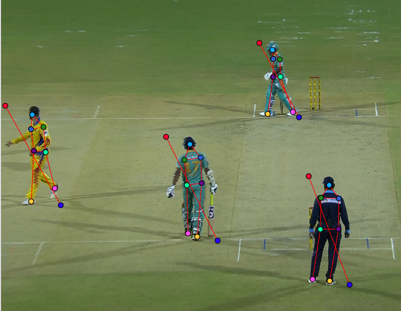 Cricket motion analysis