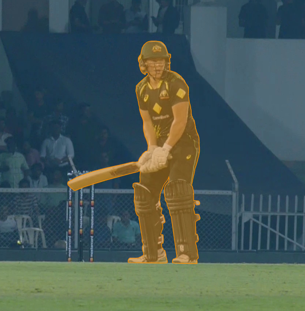 Cricket batsman