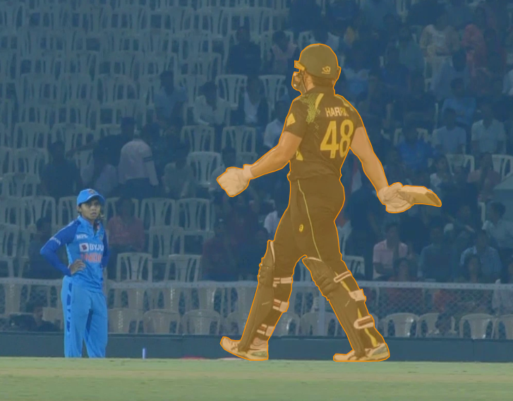 Cricket player walking